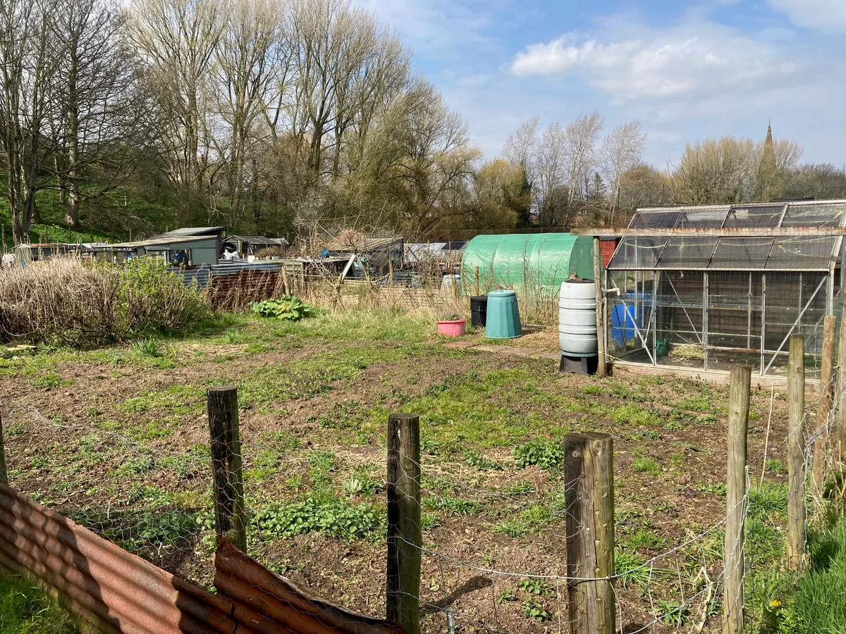 A wide view of the allotment before the beds were prepared.