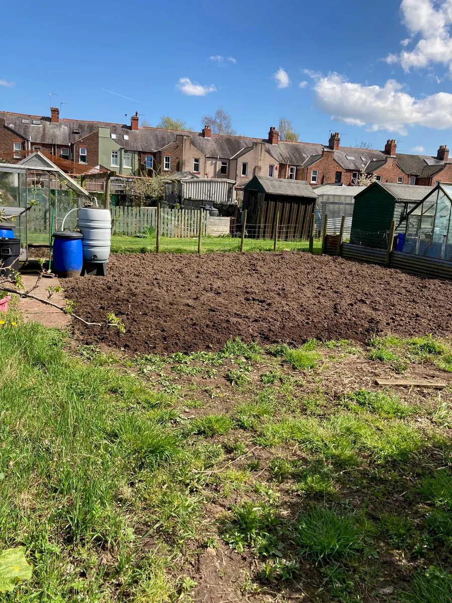 Freshly turned soil beside the allotment sheds.