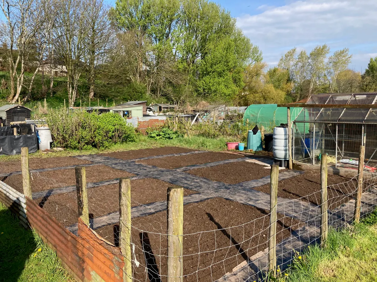 Laid-out beds and paths across the allotment.