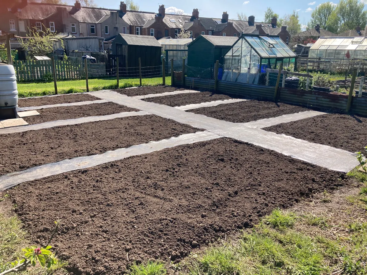 Freshly prepared beds divided by paths.