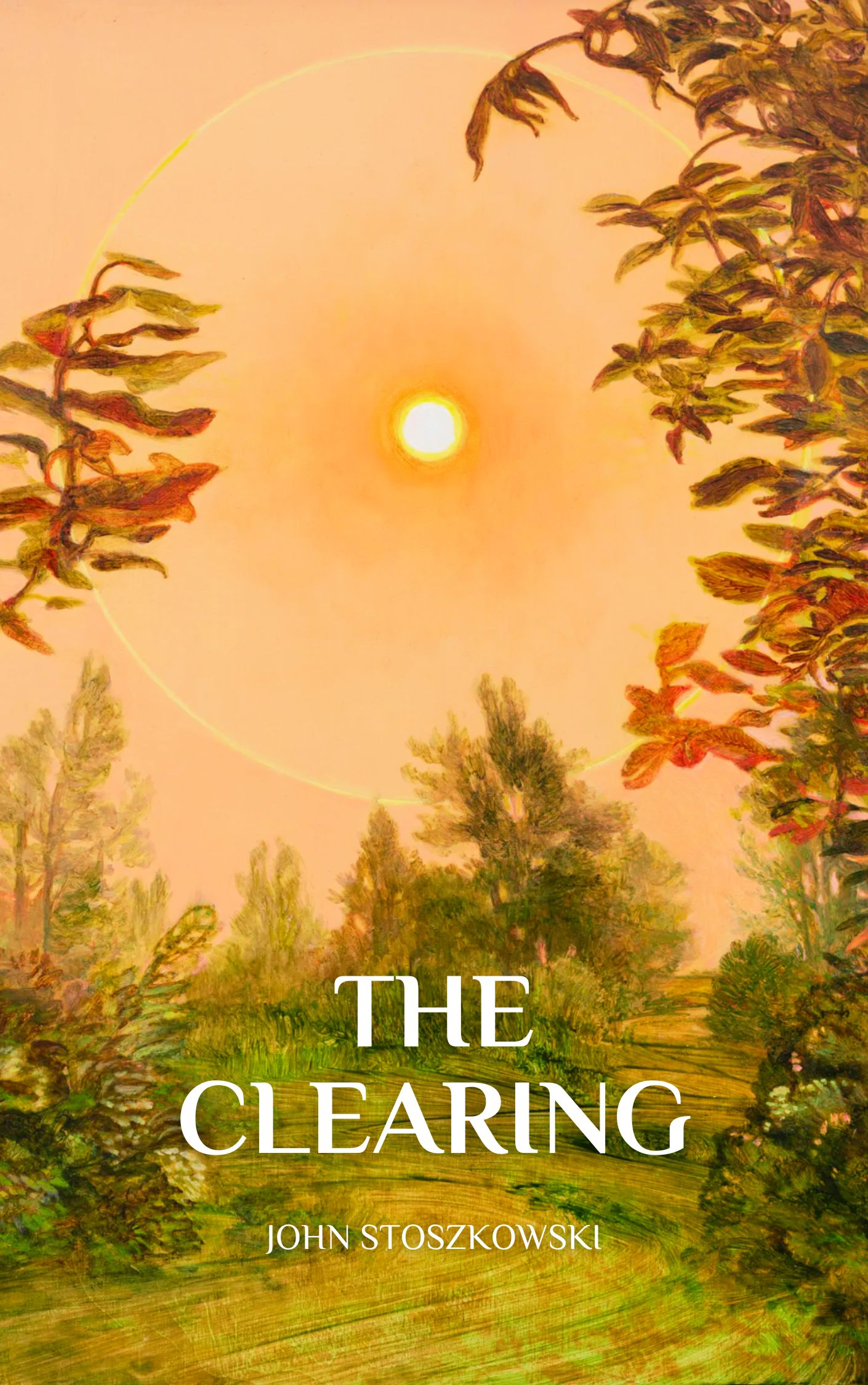 The Clearing book cover
