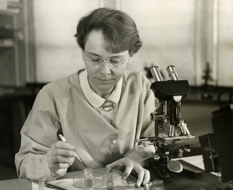 Barbara McClintock at her microscope in 1947